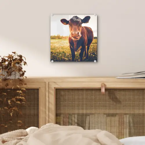 Koe - Zonsondergang - Bloemen - Gras - Dieren plexiglas 5mm klein -sfeer4
