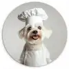 Hond - Wit - Kok Wandcirkel plexiglas klein -3d