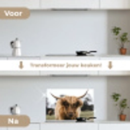Schotse Hooglander -  Koe - Gras - Dieren - Natuur keuken achterwand spatscherm klein -voor_na_NL