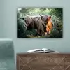 Schotse Hooglanders - Bos - Dieren canvas 2cm klein -sfeer4
