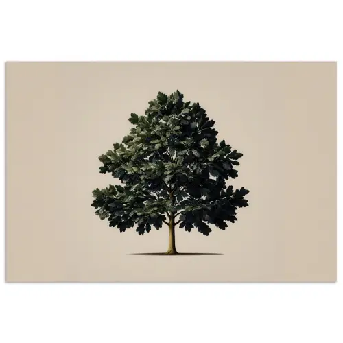 Eikenboom - Schaduw - Egaal poster papier klein -3d