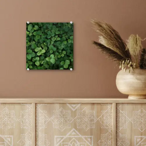 Groen - Bladeren - Kartel - Zonlicht plexiglas 5mm klein -sfeer5