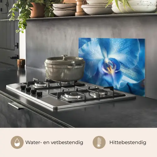 Blauw - Orchidee - Elegeant keuken achterwand spatscherm klein -usp_NL