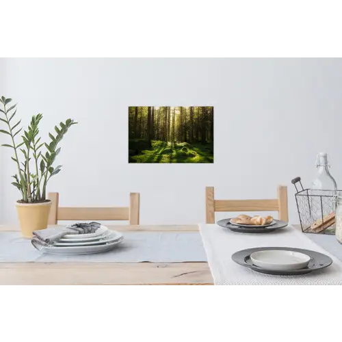 Bomen - Bos - Mos - Planten - Zon Muursticker klein -eettafel