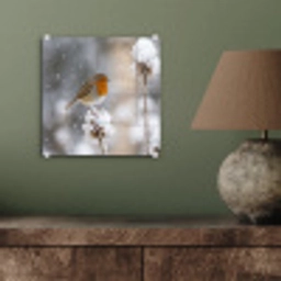 Roodborstje - Gedroogde bloem - Sneeuw - Winter - Vertederend plexiglas 5mm klein -sfeer3