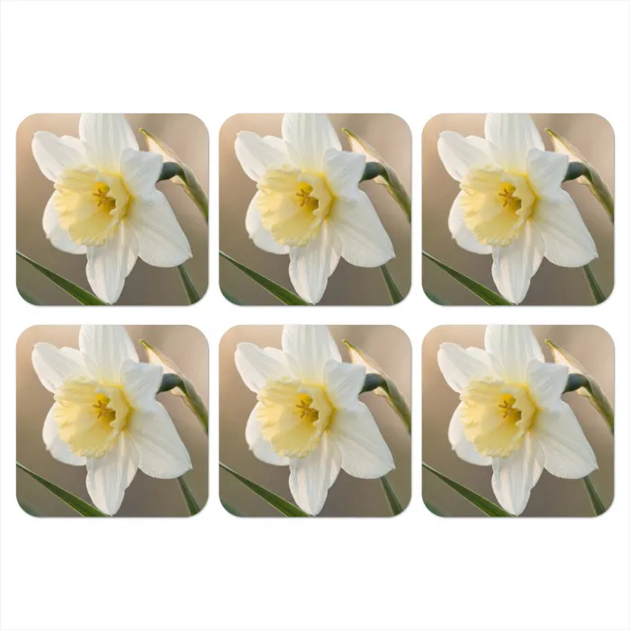 Narcis - Bloem - Minimalistisch onderzetter kurk middel -3d