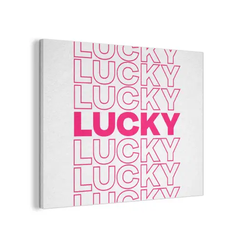 Lucky - Roze - Patroon PET vilt klein -3d
