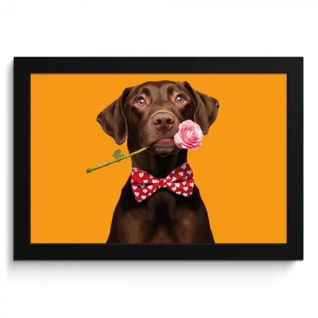 Hond - Oranje - Roos - Valentijn KitchenYeah - Keuken - Fotolijst klein -3d