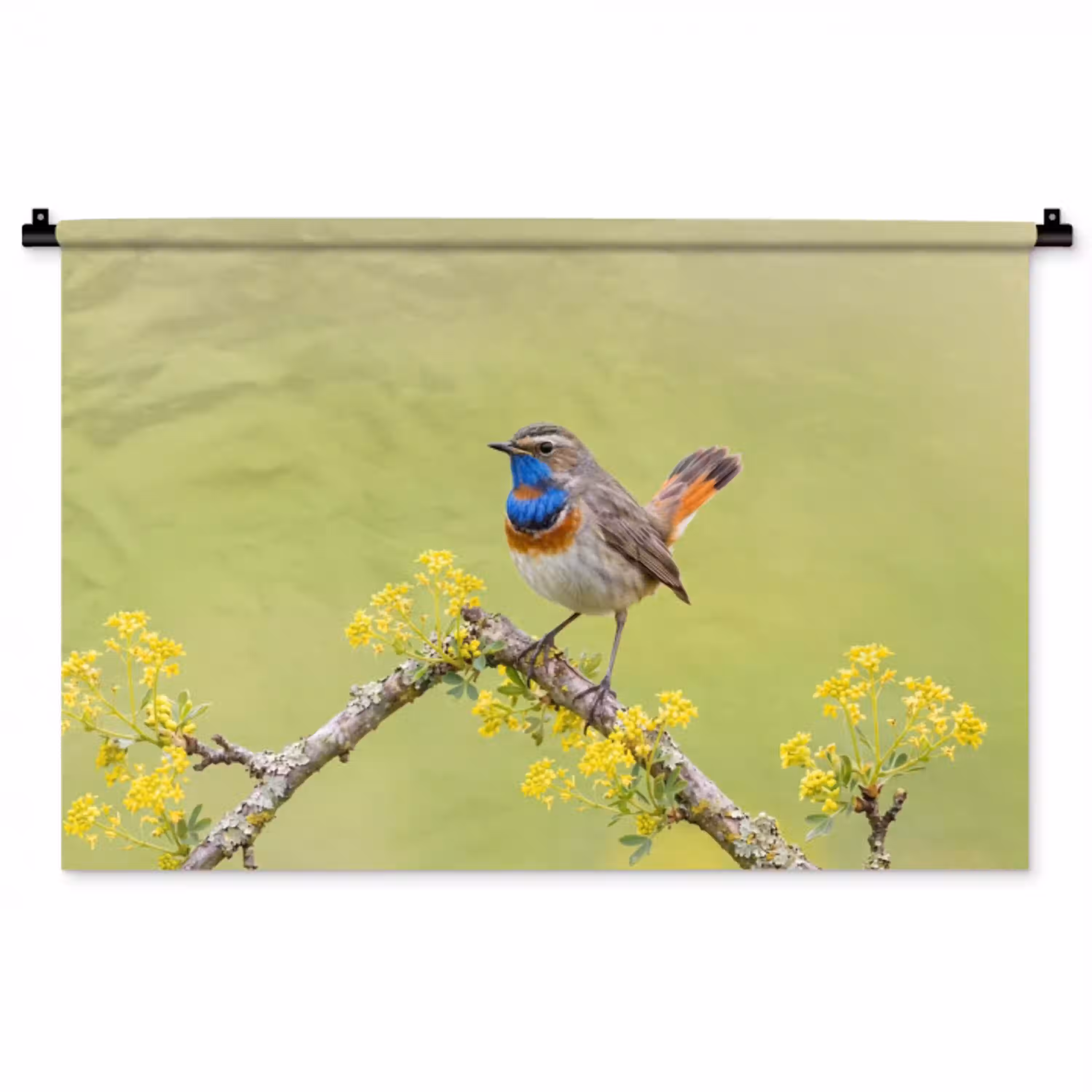 Vogel - Tak - Natuur - Kleurrijk Wandkleed katoen middel -zz3d