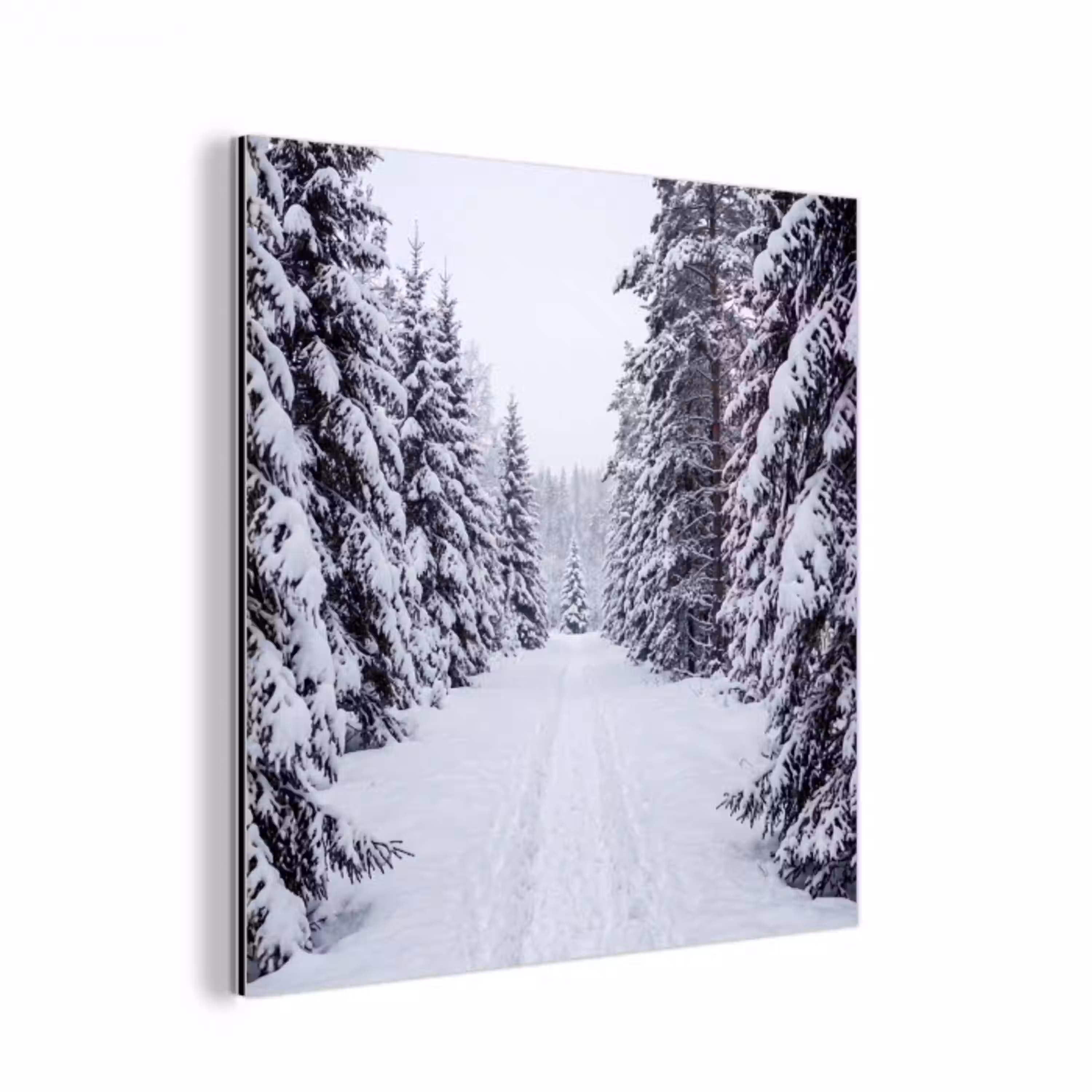 Bos - Winter - Sneeuw - Pad - Natuur aluminium wit klein -3d