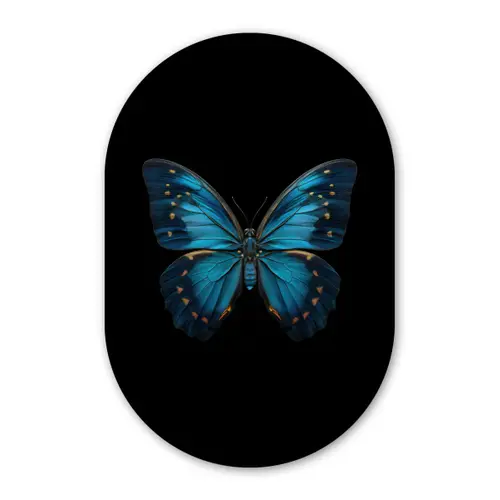 Vlinder - Blauw - Contrast Wandcirkel Ovaal Forex klein -3d
