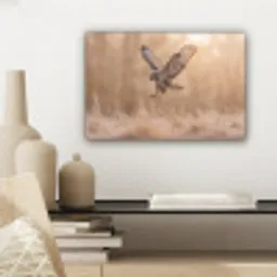 Buizerd - Roofvogel - Natuur - Bruin canvas 2cm klein -sfeer6