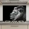 Leeuw tegen zwarte achtergrond in zwart-wit keuken achterwand spatscherm klein -3d_website
