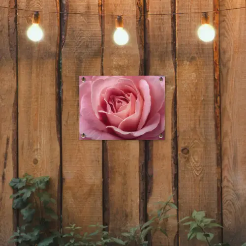 Roze - Roos - Romantisch tuinposter los doek klein -sfeer1