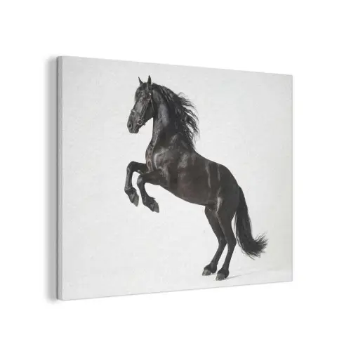 Zwart - Paard - Portret PET vilt klein -3d