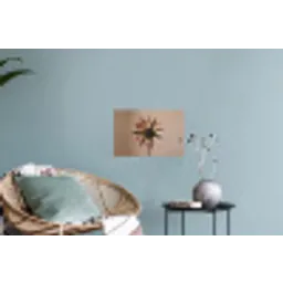 Droogbloem - Protea - Vintage - Beige - Rustiek Muursticker klein -plant