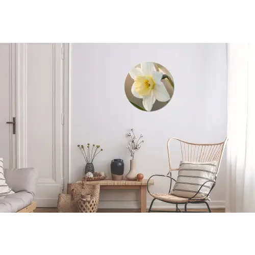 Narcis - Bloem - Minimalistisch Wandcirkel aluminium klein -woonkamer