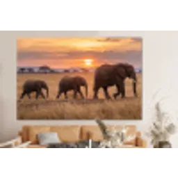 Olifanten - Savanne - Zonsondergang - Afrika - Warm forex 5mm xxl -bovenbank