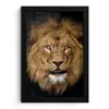 Leeuw - Portret - Zwart - Dieren fotolijst zwart zonder passe partout klein -3d