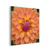 Dahlia - Bloem - Oranje aluminium wit klein -3d