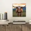 Longhorn - Landschap - Zonsondergang aluminium wit klein -sfeer1