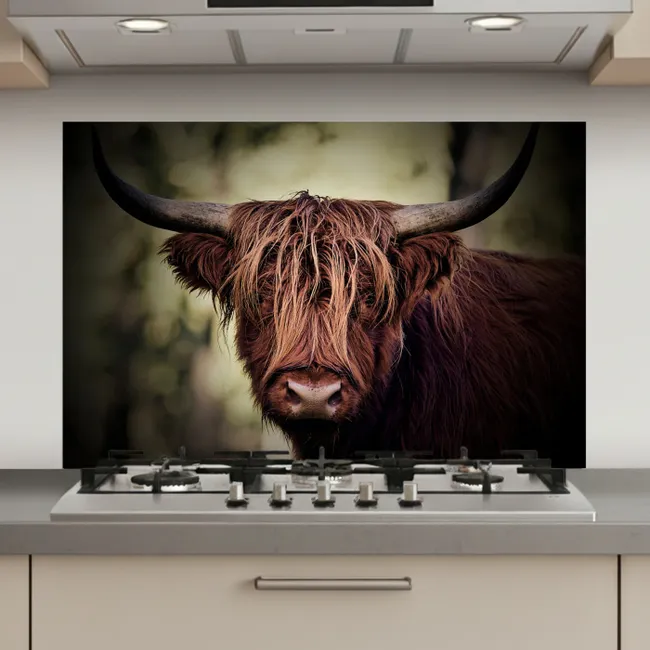 Schotse hooglander - Licht - Portret - Natuur keuken achterwand spatscherm klein -3d_website