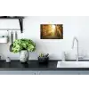 Bos - Herfst - Zon - Landschap - Natuur - Oranje Muursticker klein -keuken