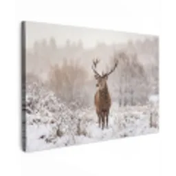 Edelhert - Bos - Sneeuw - Winter - Majestueus canvas 2cm klein -z3d
