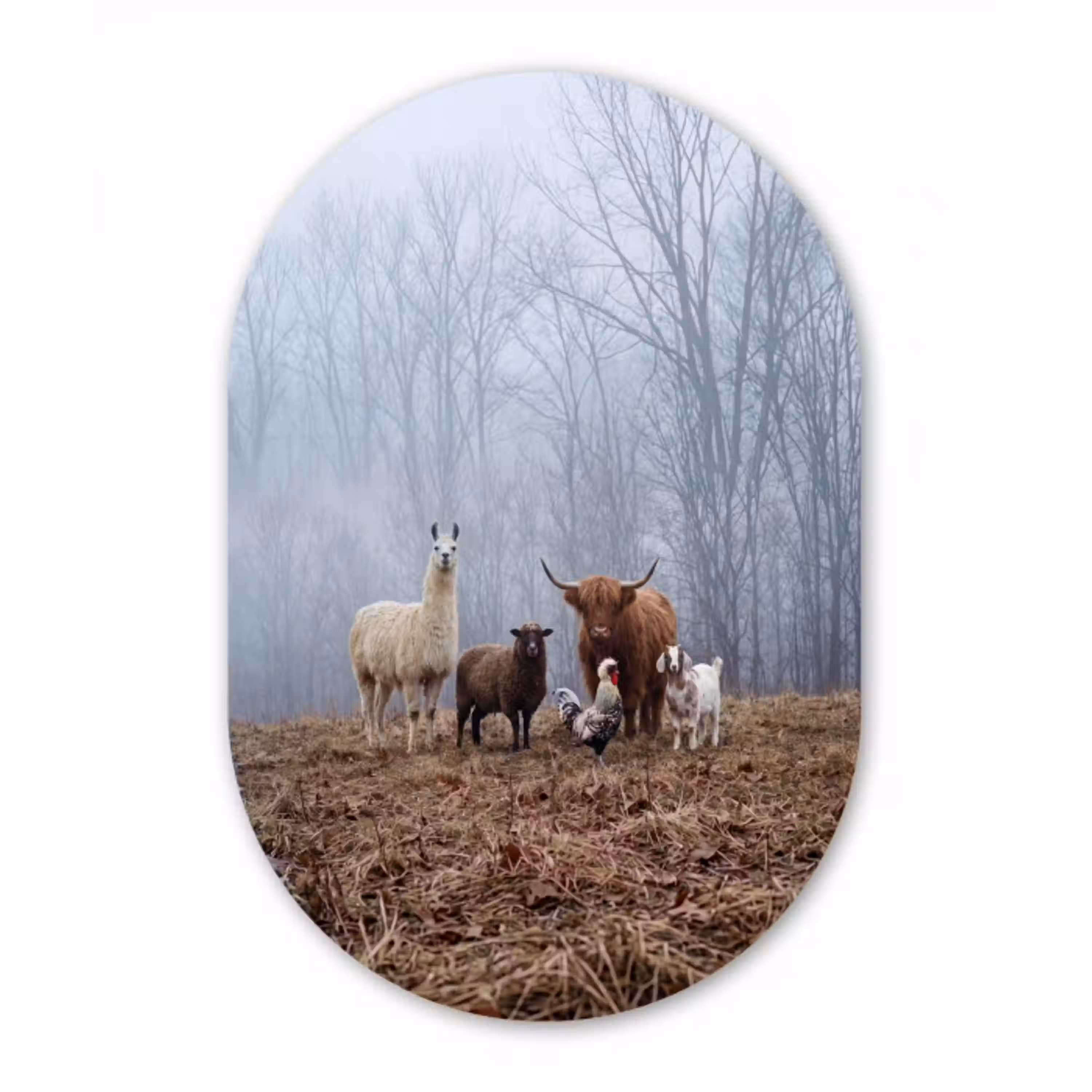 Boerderijdieren - Groep - Mist - Natuur - Rustiek Wandcirkel Ovaal Aluminium middel -3d