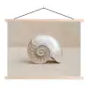 Schelp - Spiraal - Beige textielposter latten blank klein -3d