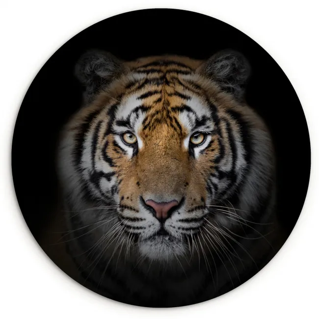 Tijger - Wilde dieren - Portret - Zwart - Dieren Wandcirkel kunststof plaat 5mm dik klein -3d