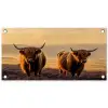 Schotse hooglanders - Heide - Landschap - Dieren tuinposter los doek klein -3d