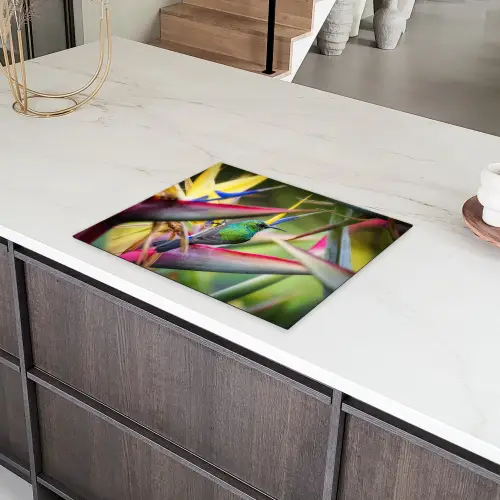 Kleurrijke vogel tussen allemaal kleurrijke platen Inductie beschermer vinyl 3mm groot -sfeer8