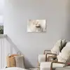 Bloem - Beige - Verf - Schaduw Tuinposter op houten frame 2 cm dik klein -sfeer1