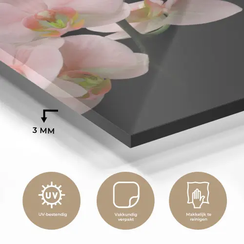Orchidee - Bloemen - Roze - Stilleven - Flora plexiglas 5mm klein -sfeer2