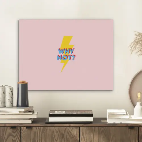 Why not - Bliksem - Roze PET vilt klein -sfeer1