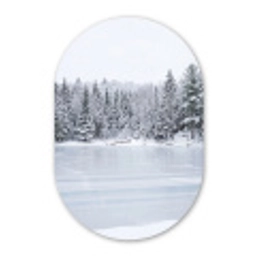 Meer - Dennen - IJs - Winter - Rustgevend Wandcirkel Ovaal Forex klein -3d