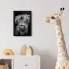 Schotse Hooglander - Horens - Zwart - Wit - Koe - Wild - Dieren fotolijst zwart zonder passe partout klein -usfeer4_kinderkamer