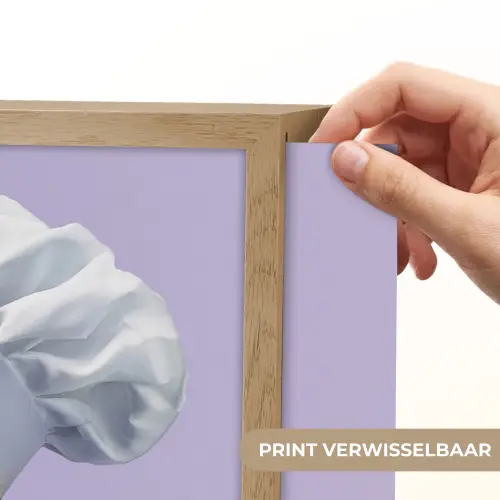 Papegaai - Koksmuts - Paars - Cute Light Box met batterij (Wandlamp) middel -USP_websiteprintNL