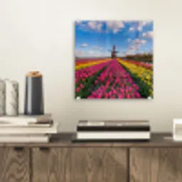 Tulpen - Holland - Molen - Kleurrijk plexiglas 5mm klein -sfeer1