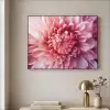 Dahlia - Bloem - Close up - Roze Textielframe - compleet frame klein -sfeer2