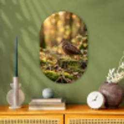 Houtsnip - Bos - Bladeren - Herfst - Gecamoufleerd Wandcirkel Ovaal Forex klein -sfeer2