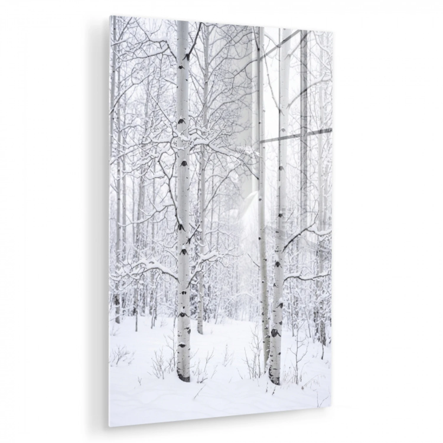 Berkenbomen - Sneeuw - Winter - Bos - Wit plexiglas 5mm klein -zzzproduct_nieuw