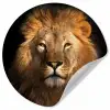 Leeuw - Dieren - Zwart - Licht - Bruin - Portret Wandcirkel behangsticker klein -3d