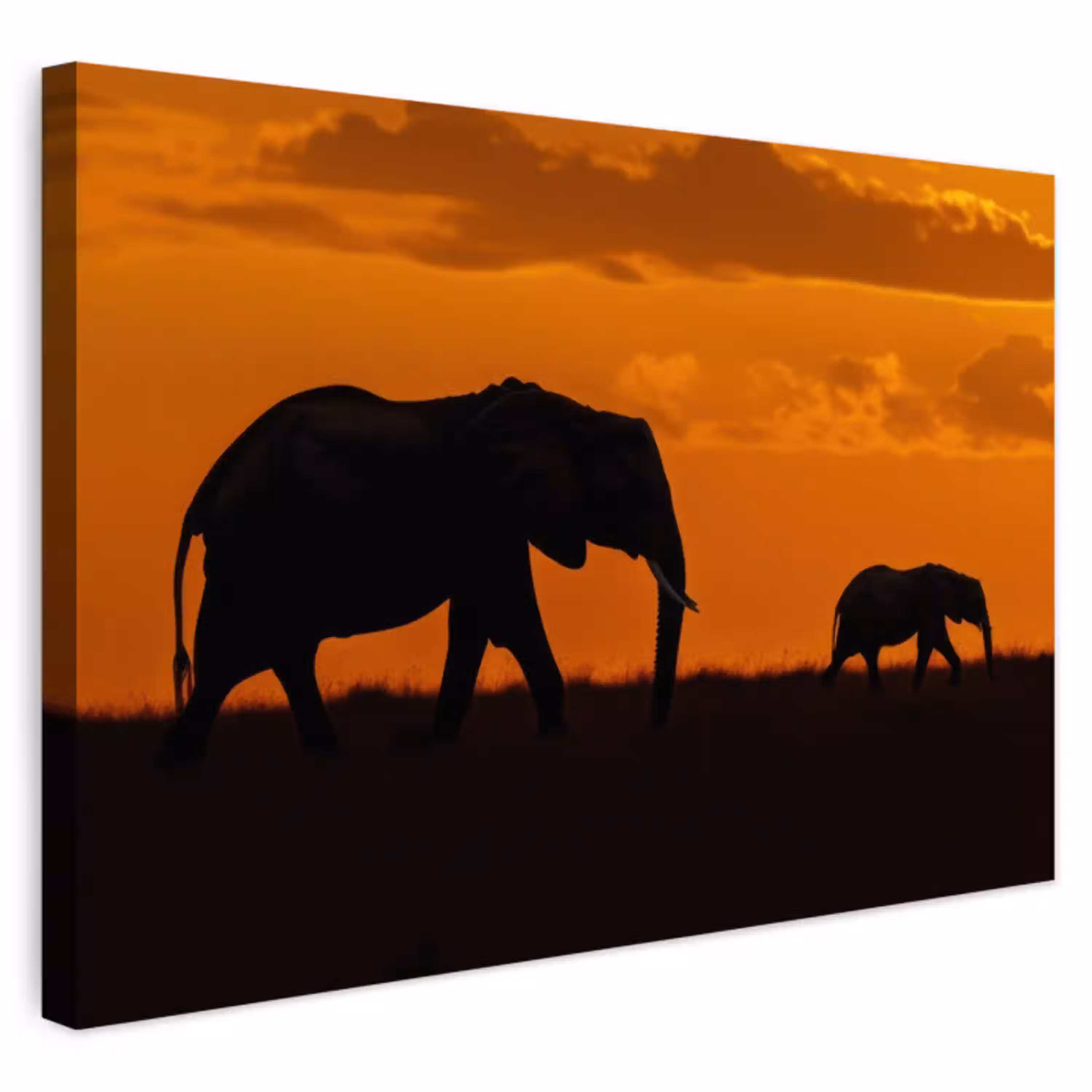 Olifanten - Savanne - Zonsondergang Tuinposter op houten frame 2 cm dik klein -3d