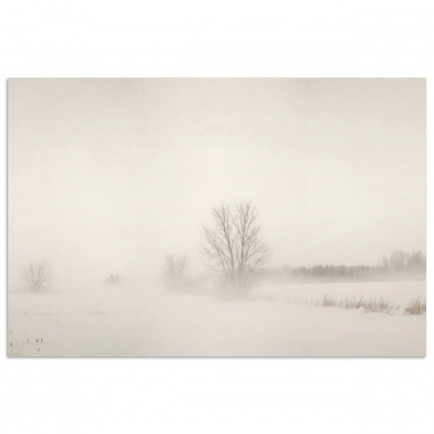 Boom - Mist - Sneeuw - Winter - Minimalistisch poster papier klein -3d
