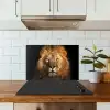 Leeuw - Dieren - Zwart - Licht - Bruin - Portret keuken achterwand spatscherm klein -sfeer2