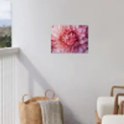 Dahlia - Bloem - Close up - Roze tuinposter los doek klein -sfeer8