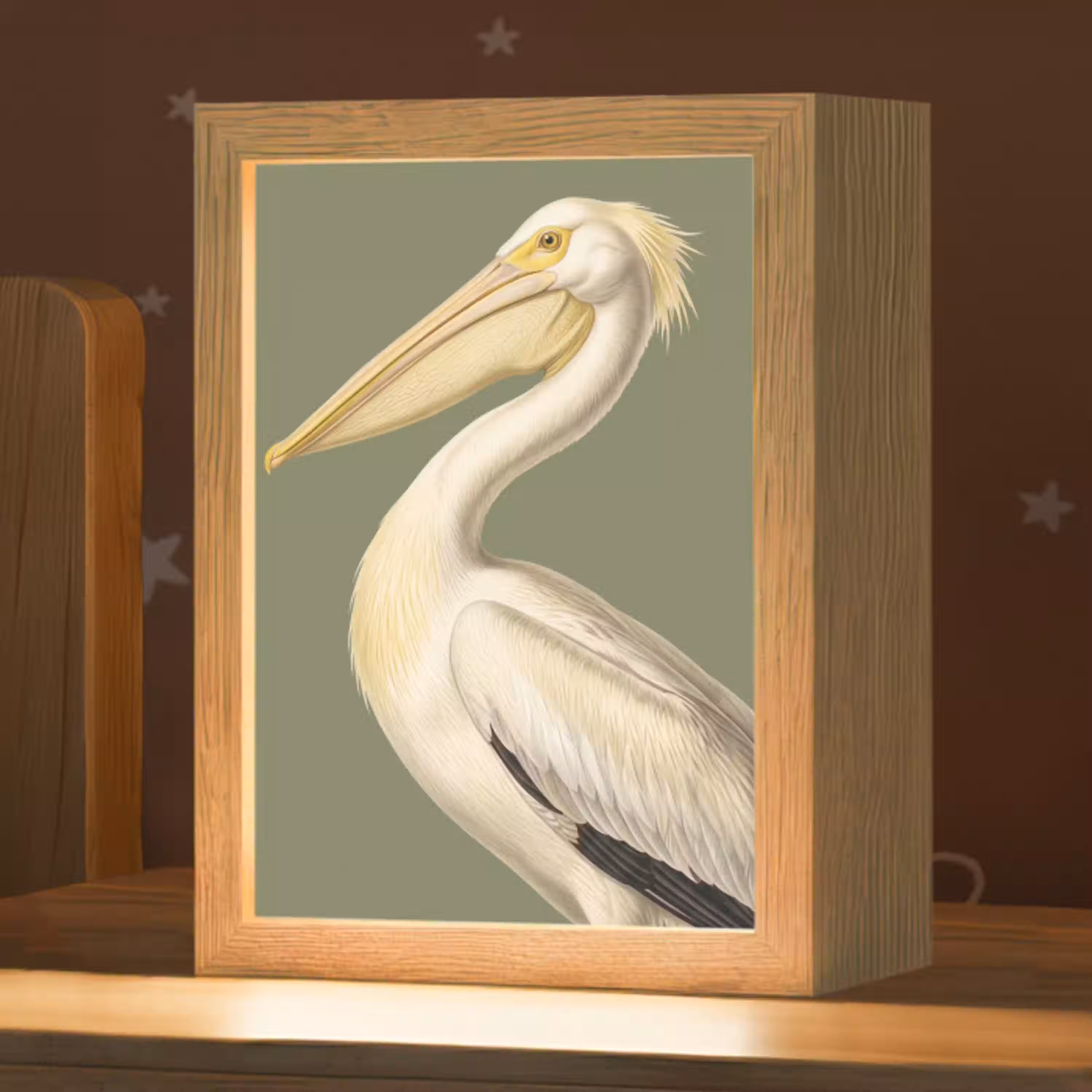 Pelikaan - Wit - Vogel - Klassiek - Natuur Light Box met kabel (Kinderlampje) klein -zzz_3d_website