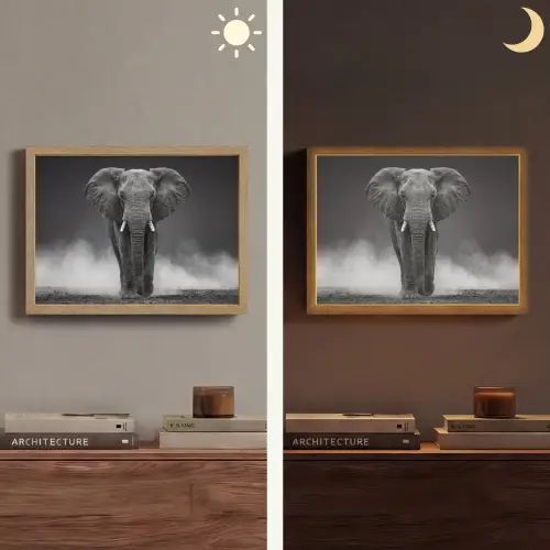 Olifant - Zwart - Wit - Rook Light Box met batterij (Wandlamp) middel -sfeer3